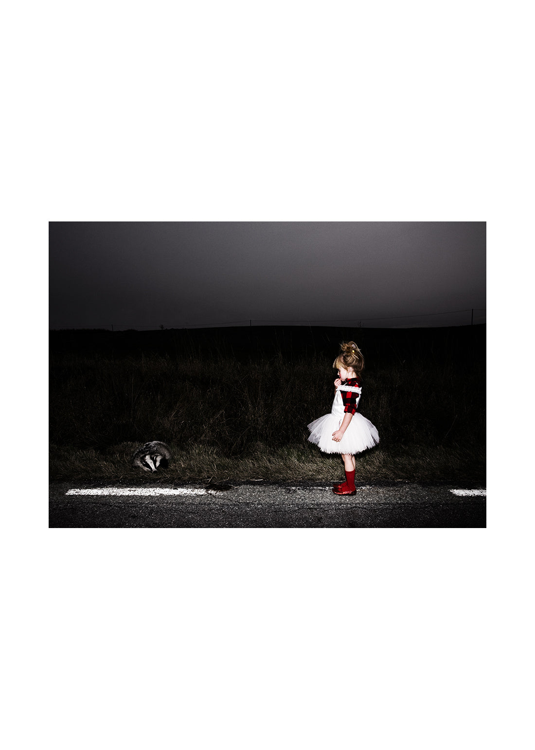 Girl and Badger, Art Print